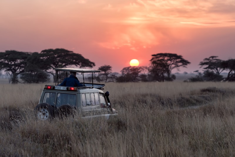 Kenya – E-KENYA – 30 jours MULTI