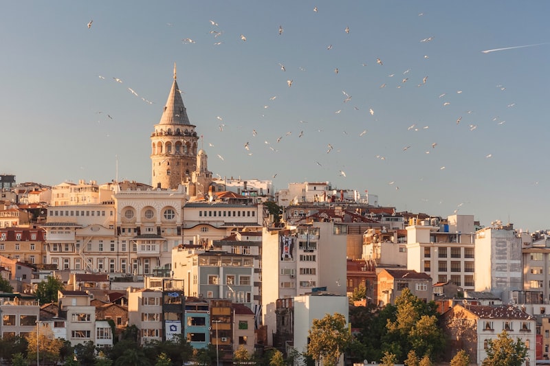 Turquie – E-VISA (B1/C)